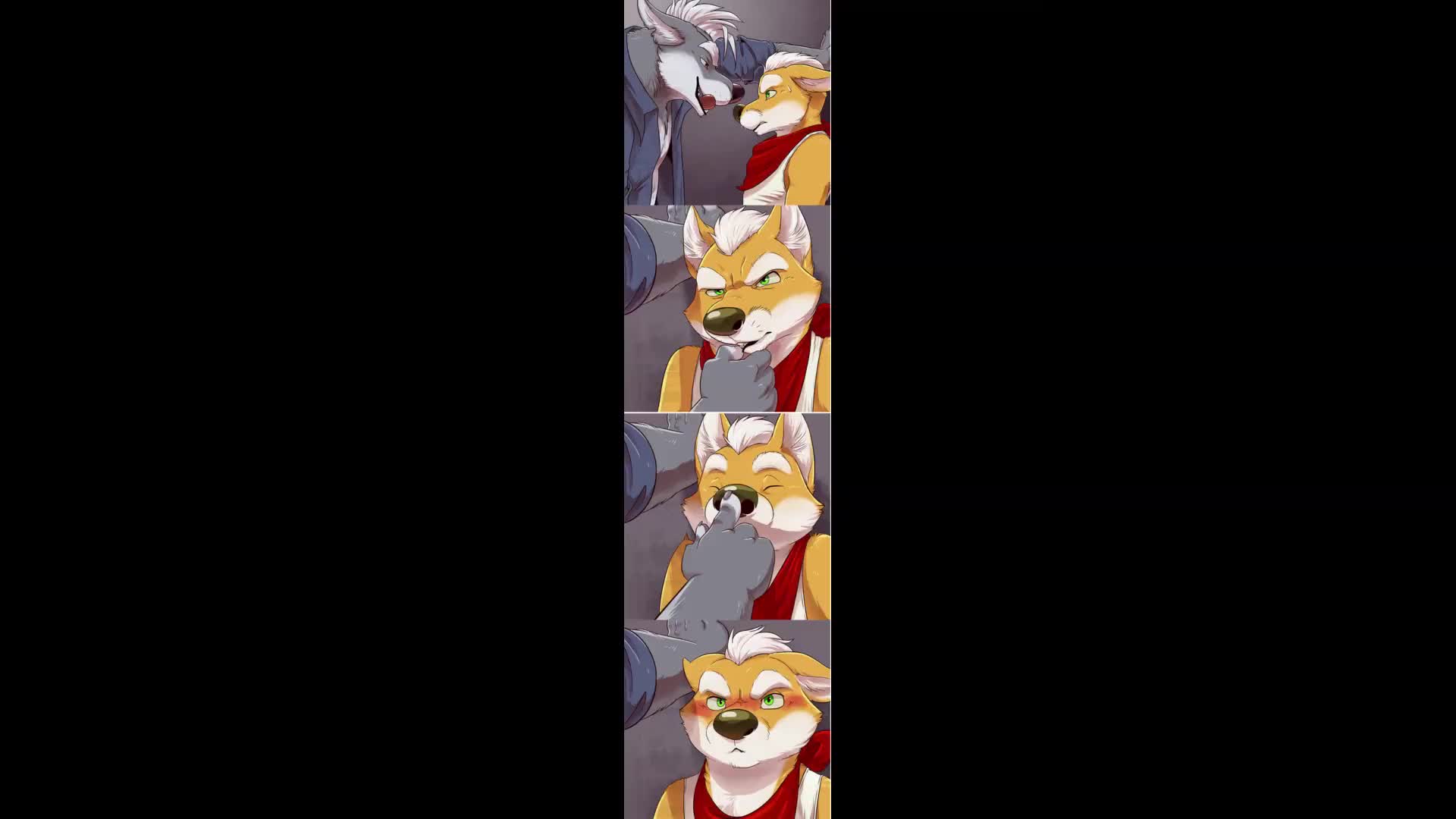 Gay Furry Love (REUPLOAD + New Pictures + New Music7